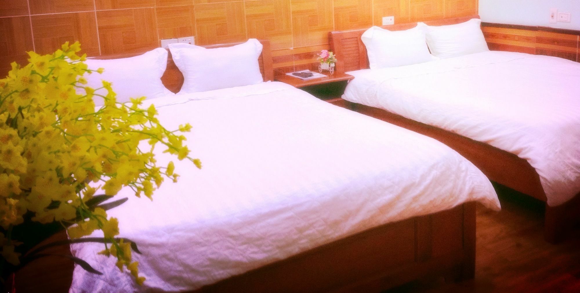 Noi Bai Family Homestay Buitenkant foto